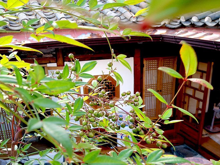 Vine Hanok Guesthouse 서울특별시 외부 사진